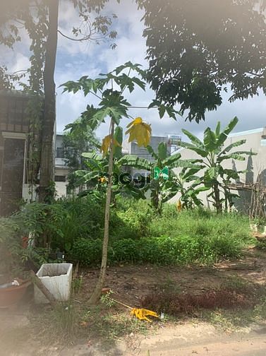 Hình ảnh Cần bán lô đất đường nhưa tại Bến Cát