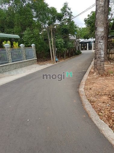 Hình ảnh Cần bán lô đất đường nhưa tại Bến Cát