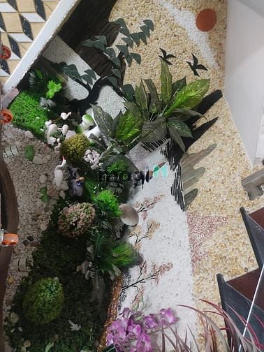Hình ảnh HXH, Phạm Văn Chiêu 6 tầng chỉ 8 tỷ Phường 8 Gò Vấp