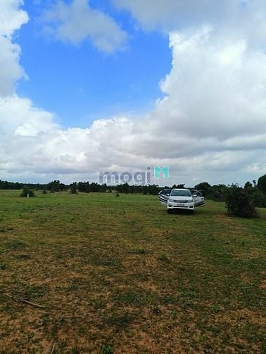 Hình ảnh Sang nhượng nhanh 17125m2 lô đất xã Hồng Thái - Bắc Bình, bao thuế phí