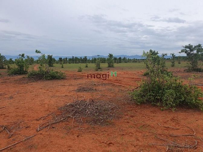 Hình ảnh Sang nhượng nhanh 17125m2 lô đất xã Hồng Thái - Bắc Bình, bao thuế phí