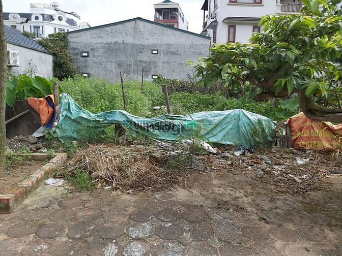Hình ảnh Bán 364m2 Đất Phường Phúc Lợi, Long Biên. Giá 14,5 Tỷ Có Thương Lượng