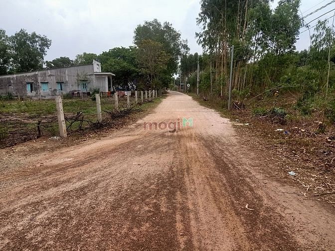 Hình ảnh Bán Đất 3MT /1 đường nhựa 50m - 3trm2 Tân Tiến Tx Lagi Bình Thuận