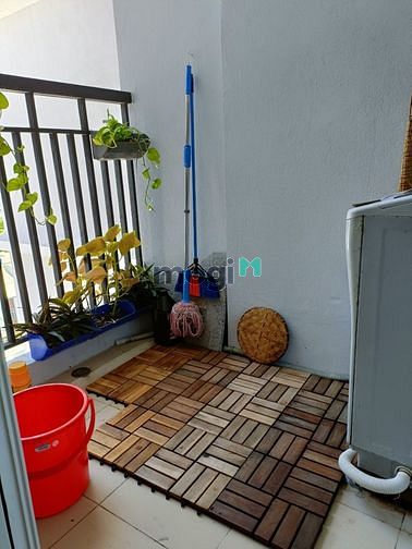Hình ảnh Cho thuê phòng view biển gần trung tâm