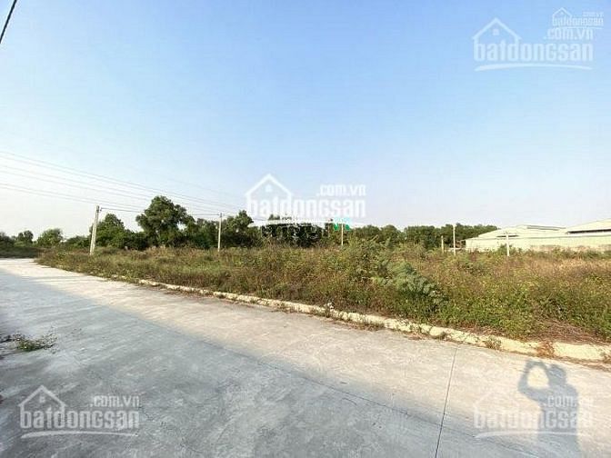 Hình ảnh Cơ hội sở hữu lô đất KDC Đại Phú, MT Trần Đại Nghĩa, Bình Chánh 80m2
