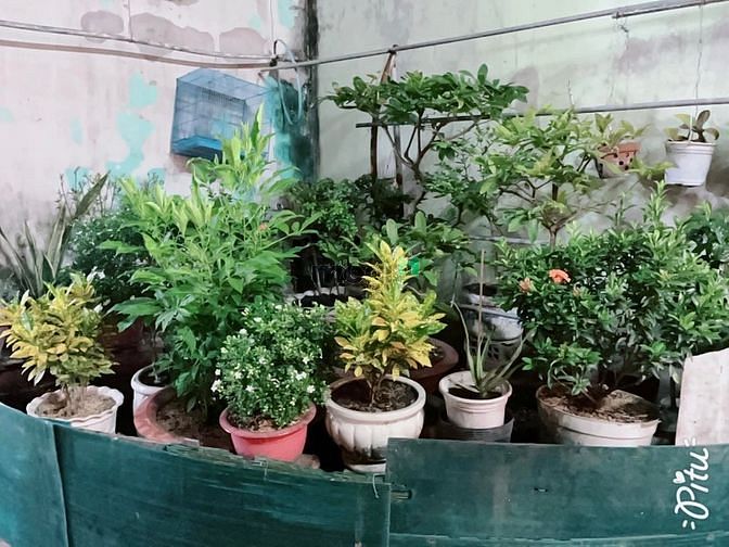 Hình ảnh Bán nhà đường Tên Lửa, Bình Trị Đông B, Bình Tân, 6x9m, 2 tầng, 3.55ty