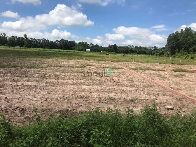 Hình ảnh Bán Đất Tây Ninh 150m2 Chính Chủ Sổ riêng