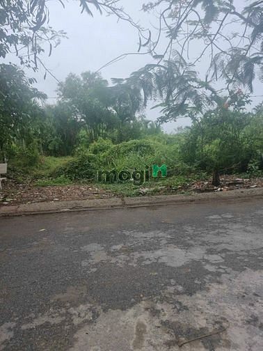 Hình ảnh - Bán 260m2 đất hẻm 1243 lê v lương , phước kiểng, nhà bè.