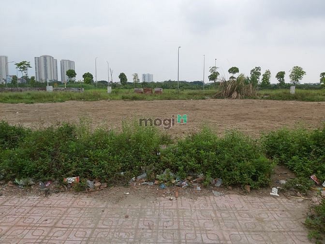 Hình ảnh Bán Đất Đấu Giá Cự Khối, Long Biên. Diện Tích 72m2 - TT8