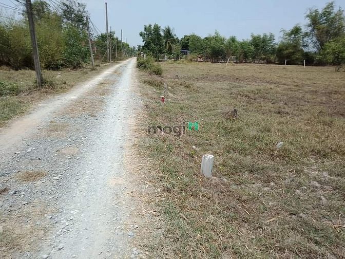 Hình ảnh Bán đất full thổ cư, ấp 1, xã Mỹ Qúy Tây, Đức Huệ, Long An