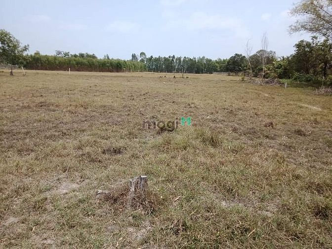 Hình ảnh Bán đất full thổ cư, ấp 1, xã Mỹ Qúy Tây, Đức Huệ, Long An