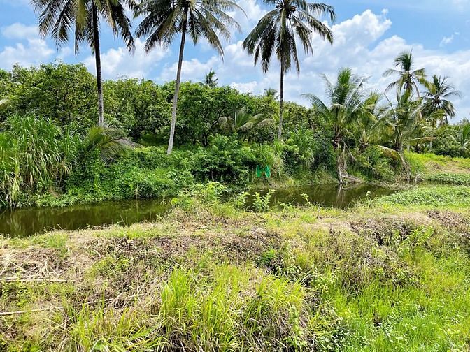 Hình ảnh Đất ngay thị trấn định quán, vị trí đẹp