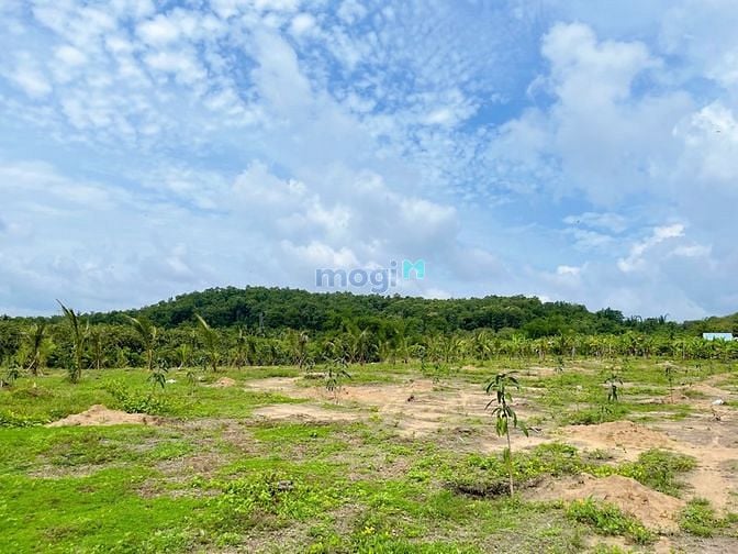 Hình ảnh Đất ngay thị trấn định quán, vị trí đẹp