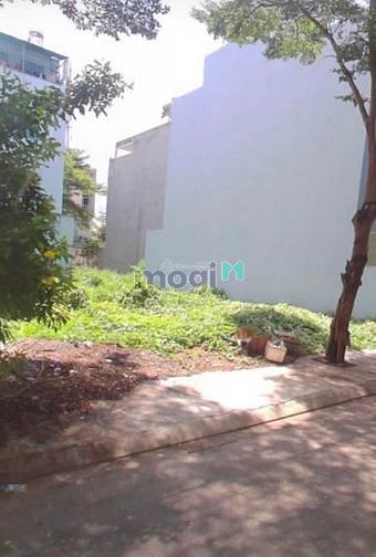 Hình ảnh Chính chủ bán đất đường Cây keo, P.Tam phú, Thủ Đức, SHR 1,8tỷ/80m2