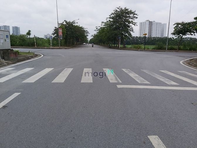 Hình ảnh Bán Gấp Đất Tái Định Cư Trâu Quỳ, Cạnh Shophouse Metropolis