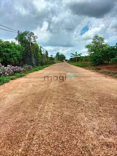 Hình ảnh vị trí Đồng Bằng, Biển Hồ, thành Phố Pleiku, tỉnh Gia Lai có thổ cư