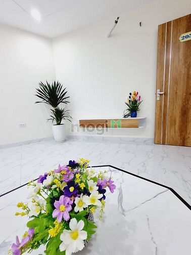 Hình ảnh Bán nhà Lê Tấn Bê, An Lạc, Bình Tân 2ty64 50m2