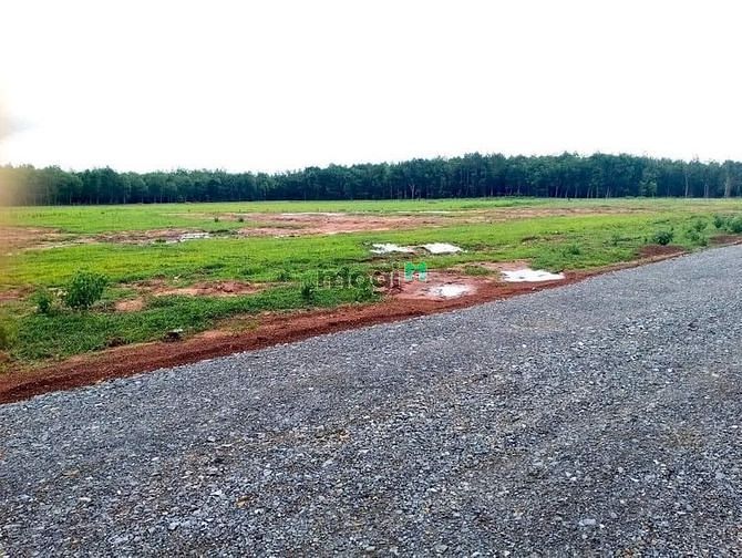 Hình ảnh Nên hay không nên Trang MB66.COM Chính Thức - MB 66 Uy Tín đất tại Bình Phước