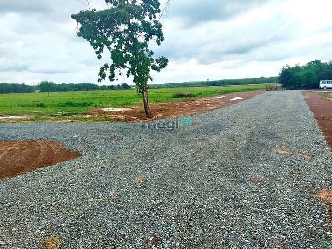 Hình ảnh Nên hay không nên Trang MB66.COM Chính Thức - MB 66 Uy Tín đất tại Bình Phước