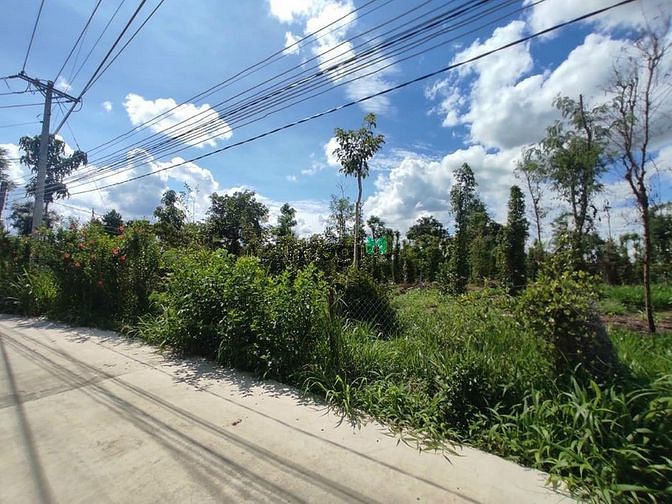 Hình ảnh Chính chủ bán vườn trái cây sổ riêng 1000m2