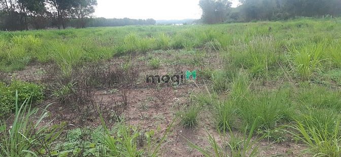 Hình ảnh Bán 1ha Đất Trang MB66.COM Chính Thức - MB 66 Uy Tín Bắc Sơn ĐNai view mặt hồ đẹp