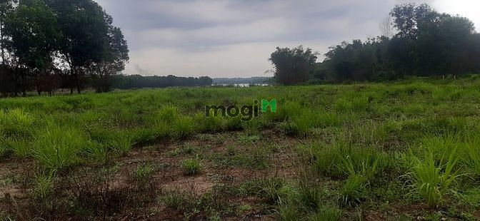 Hình ảnh Bán 1ha Đất Trang MB66.COM Chính Thức - MB 66 Uy Tín Bắc Sơn ĐNai view mặt hồ đẹp