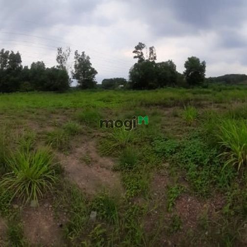 Hình ảnh Bán 1ha Đất Trang MB66.COM Chính Thức - MB 66 Uy Tín Bắc Sơn ĐNai view mặt hồ đẹp