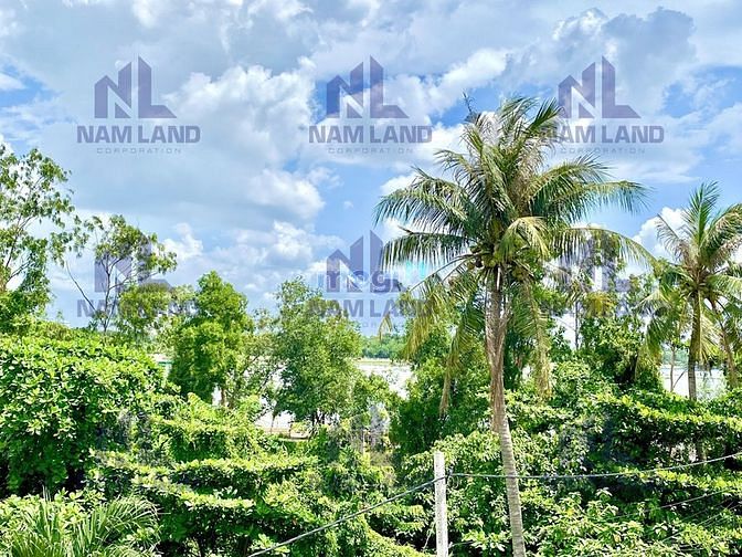 Hình ảnh 💥TIN ĐƯỢC KHÔNG🆘️Biệt thự Thảo Điền sân vườn 300m2 chỉ 29tr
