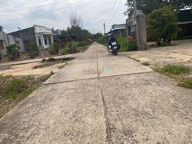 Hình ảnh Đất Tân Thắng giáp Bình Châu 19 x 61 giá 3 tỷ 8