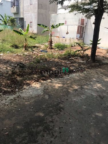 Hình ảnh cần bán gấp lô đất 100m2 5x20m khu phố 4 tân định bến cát sát QL13