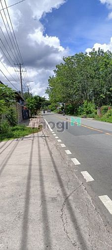 Hình ảnh Bán lô đất vườn 800m2, xã Thái Mỹ, Củ Chi, TPHCM
