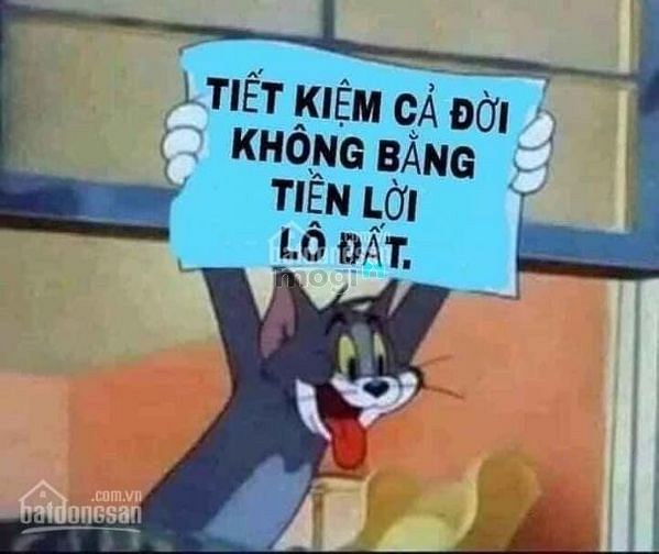 Hình ảnh Lô đất 4x18 mặt tiền đường Trục giá 8 tỷ 9