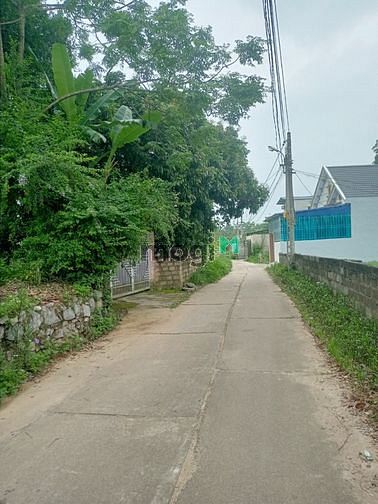Hình ảnh Bán đất rộng  Tích Lương xây nhà vườn biệt thự