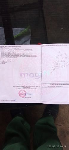 Hình ảnh Bán đất rộng  Tích Lương xây nhà vườn biệt thự