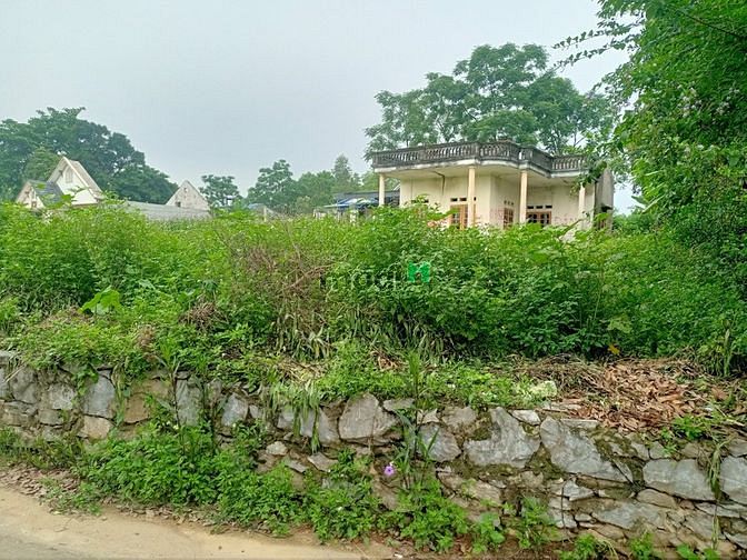 Hình ảnh Bán đất rộng  Tích Lương xây nhà vườn biệt thự