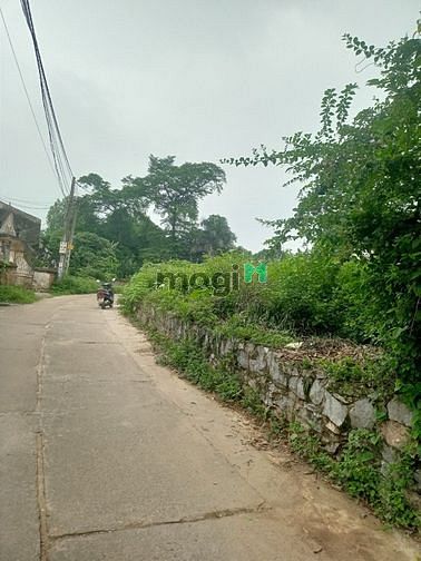 Hình ảnh Bán đất rộng  Tích Lương xây nhà vườn biệt thự