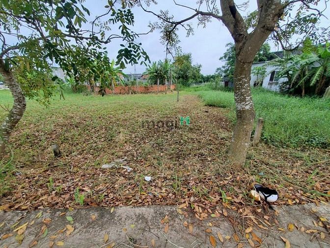 Hình ảnh Đất Nền Bình Lãng  gần chợ 500m DT 129m2 Full TC