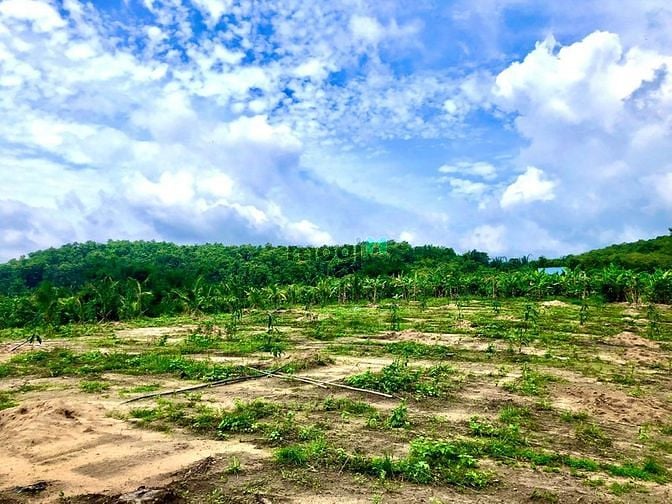 Hình ảnh Đất sào Thị trấn Định Quán - Đồng Nai