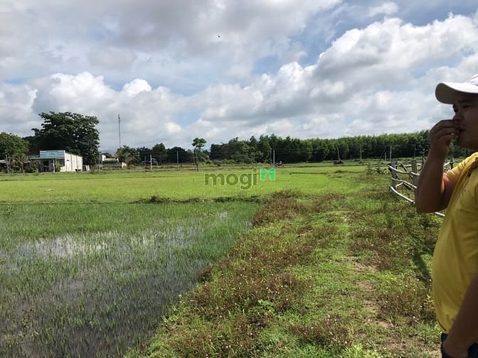 Hình ảnh 1300 m2. Đất Tân Thắng Bình Thuận giá 1 tỷ 4