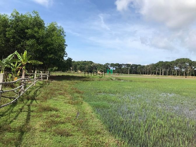 Hình ảnh 1300 m2. Đất Tân Thắng Bình Thuận giá 1 tỷ 4