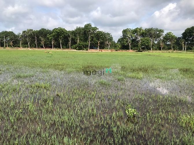Hình ảnh 1300 m2. Đất Tân Thắng Bình Thuận giá 1 tỷ 4