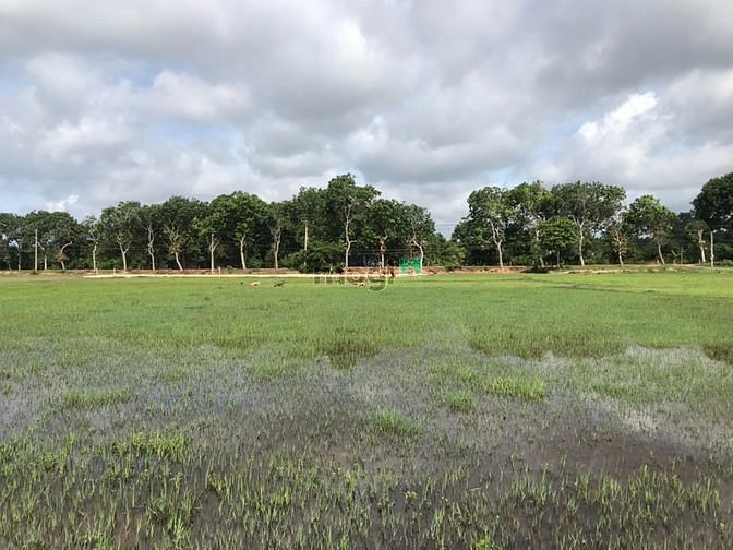 Hình ảnh 1300 m2. Đất Tân Thắng Bình Thuận giá 1 tỷ 4