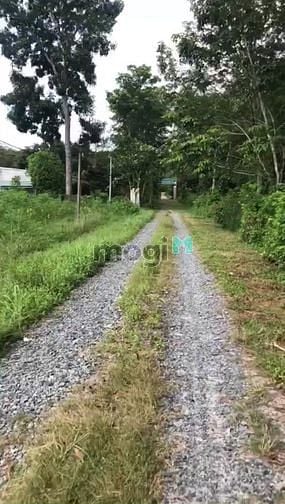 Hình ảnh 1000m2 sát bên khu tái định cư PĐ chỉ 150tr/m