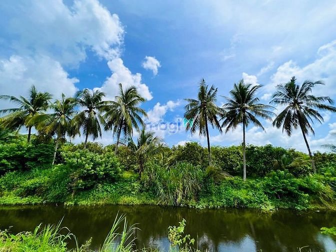 Hình ảnh Bán đất cách QL20 ngay Thị Trấn Định Quán chỉ 2km