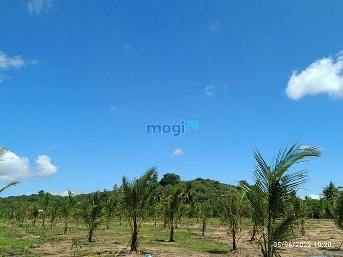 Hình ảnh Bán đất cách QL20 ngay Thị Trấn Định Quán chỉ 2km