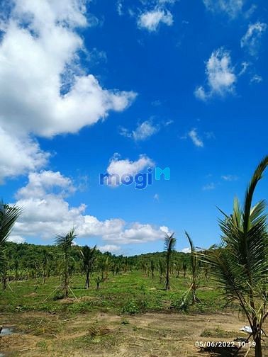 Hình ảnh Bán đất cách QL20 ngay Thị Trấn Định Quán chỉ 2km