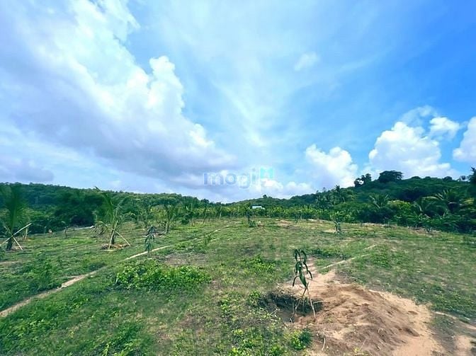 Hình ảnh Bán đất cách QL20 ngay Thị Trấn Định Quán chỉ 2km