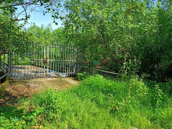 Hình ảnh Bán Đất MT Đường Số 5 Long Phước Thủ Đức 10.000m2, Giá Chào 135 tỷ.