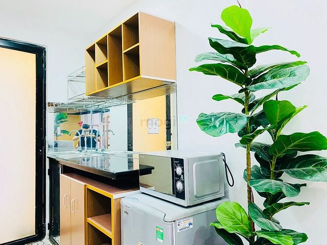 Hình ảnh Cuối Tháng Trống Căn Hộ Studio Cửa Sổ To | Nguyễn Văn Đậu, Bình Thạnh