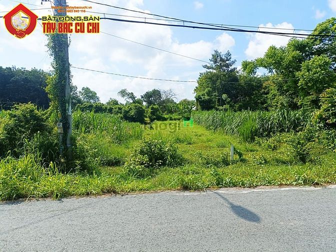 Hình ảnh Bán đất đường nguyễn thị sửa - 596m2 - 10x60 - 200m2 thổ cư - xã an